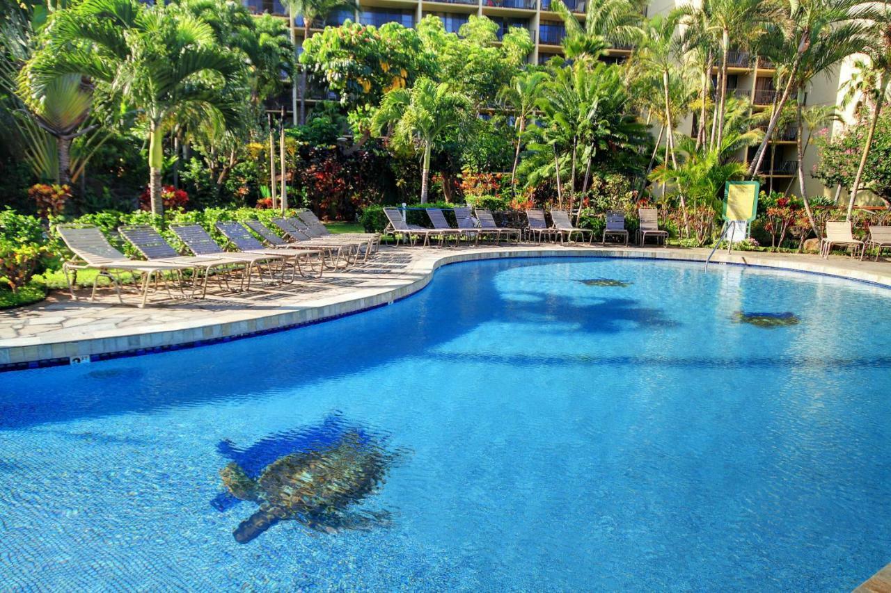 Kaanapali Shores 706 Eksteriør bilde